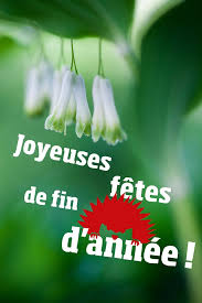 Bonnes fêtes à tous !!!